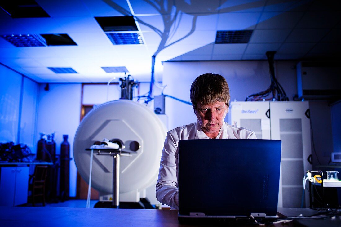 MRI scanning research