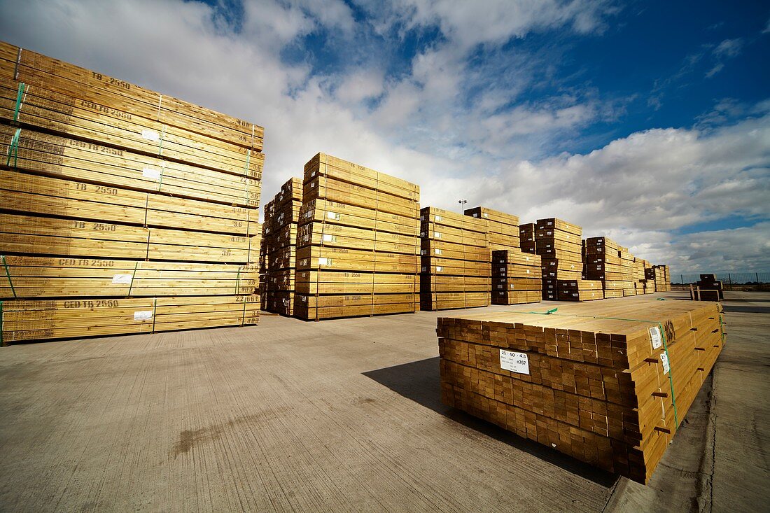 Stacks of timber planks in timber yard