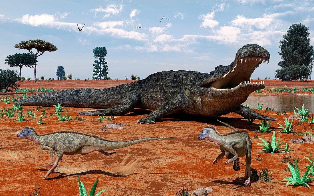 Sarcosuchus and Ornithopoda,artwork