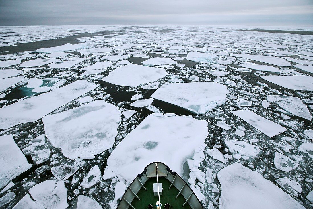 Arctic pack ice viewed from ships mast