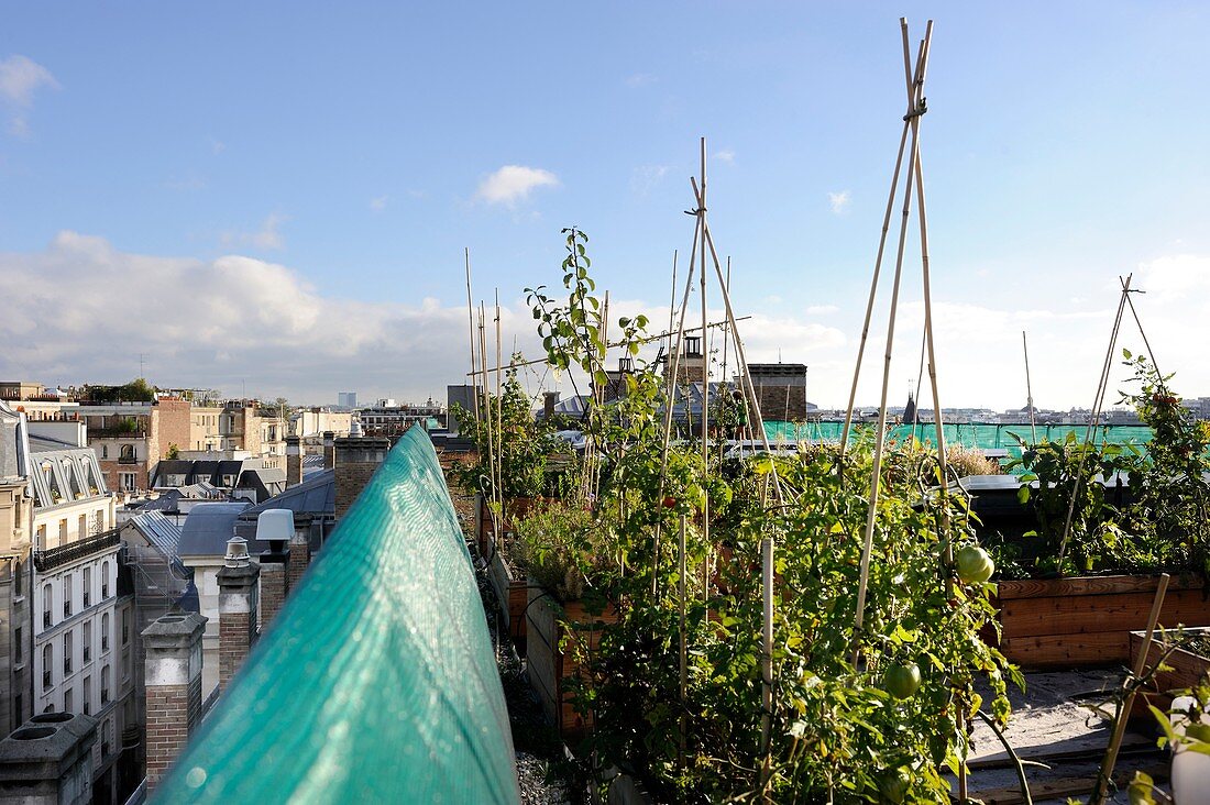 Experimental rooftop garden,Paris