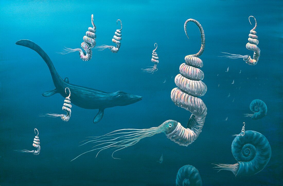 Cretaceous sea,artwork