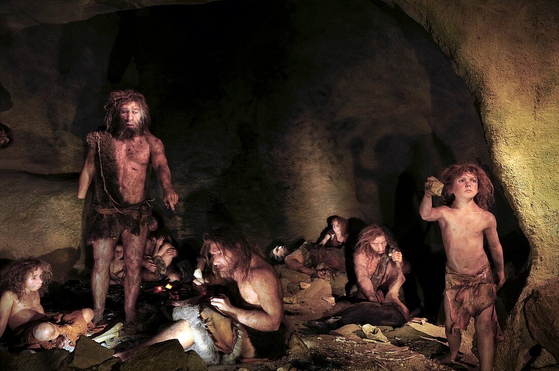 Neanderthal family,reconstruction