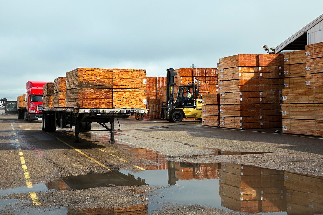 Lumber cargo