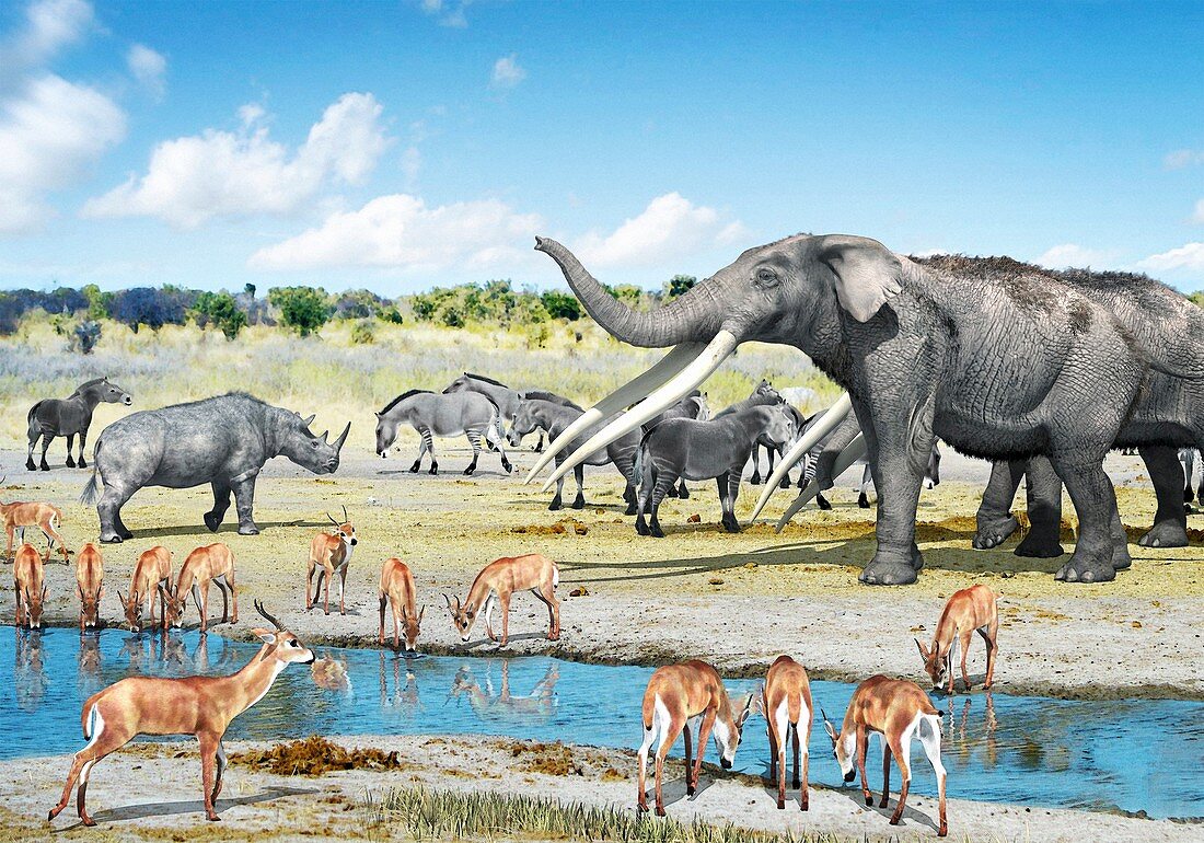 Pliocene fauna,artwork