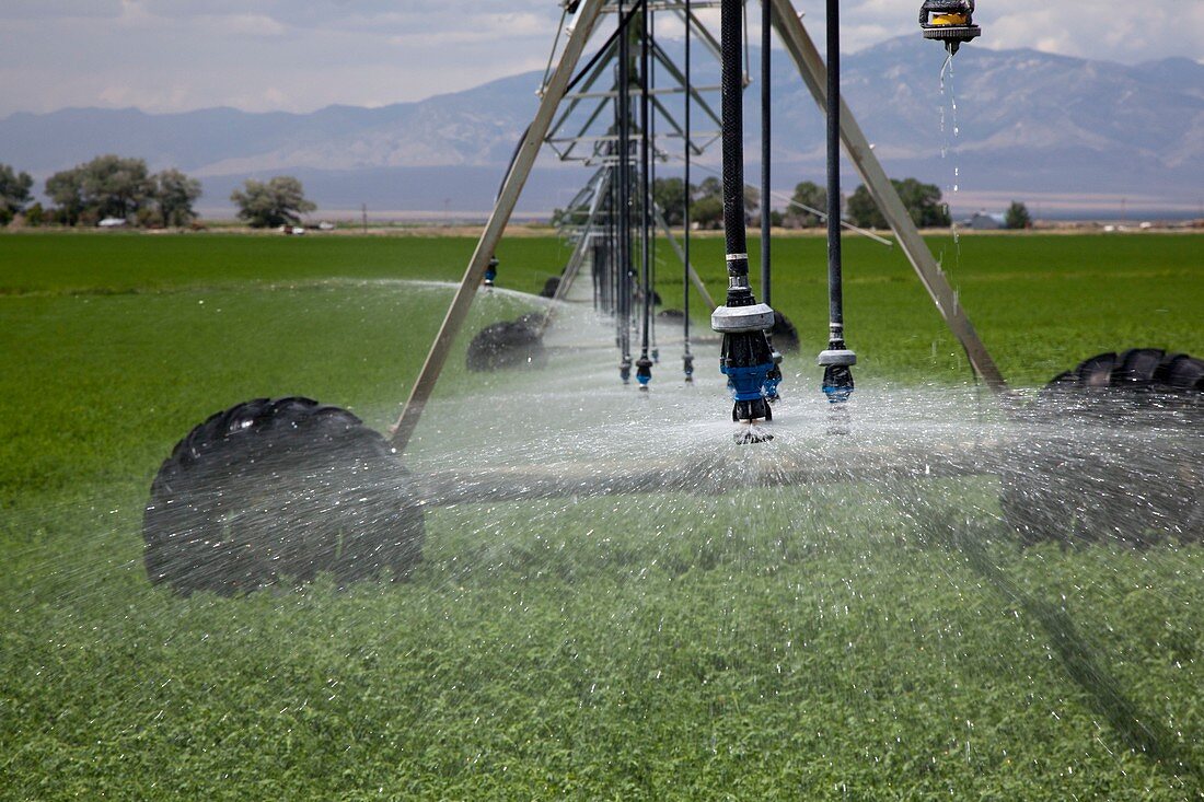 Irrigation boom in alfalfa field