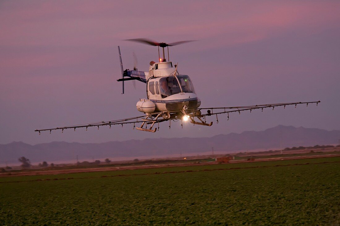 Helicopter spraying pesticides