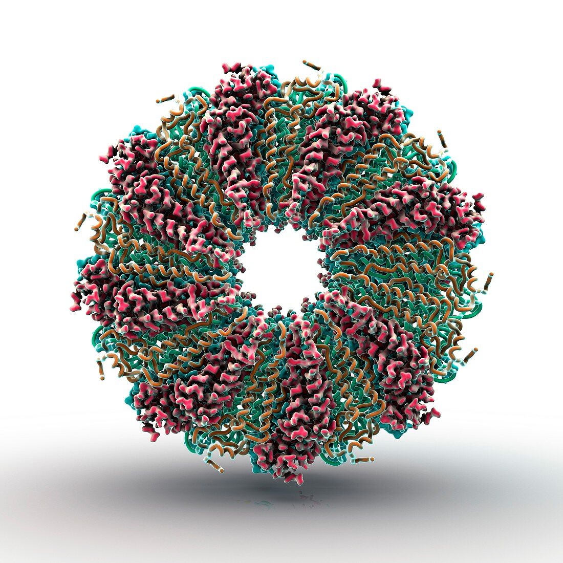 Tobacco mosaic virus proteins,artwork