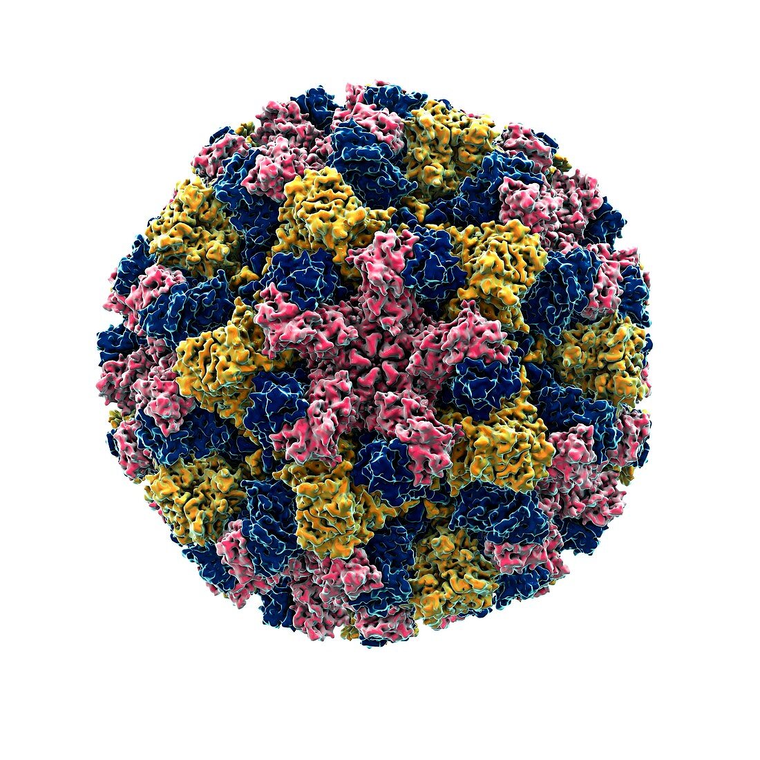 Norovirus particle,artwork
