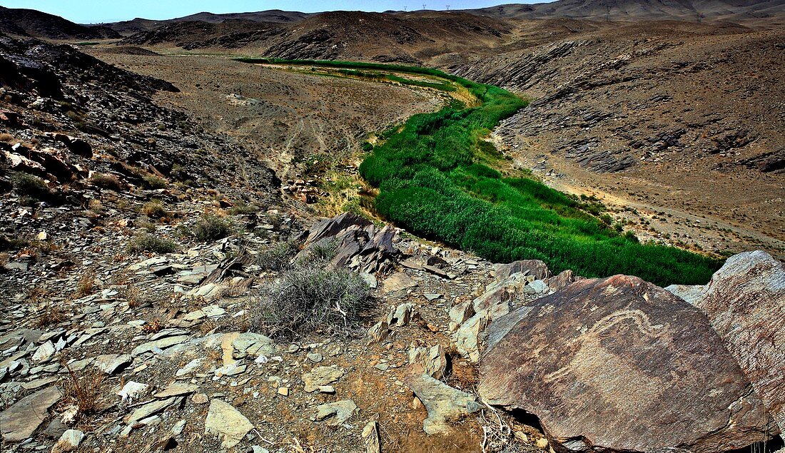 Teimareh valley,Iran
