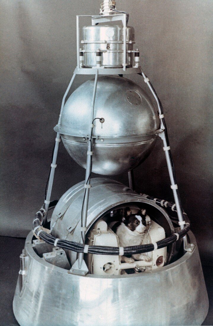 Sputnik 2,scale model