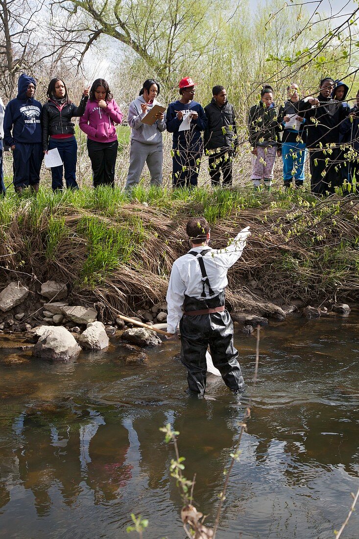 Students studying river ecology