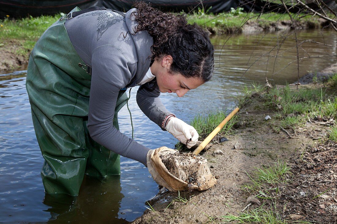 Student studying river ecology