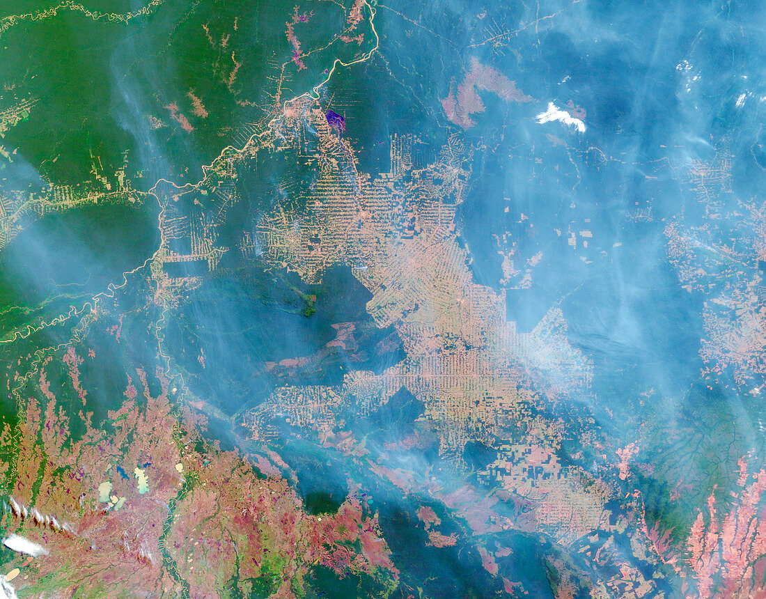 Deforestation in the Amazon,2004