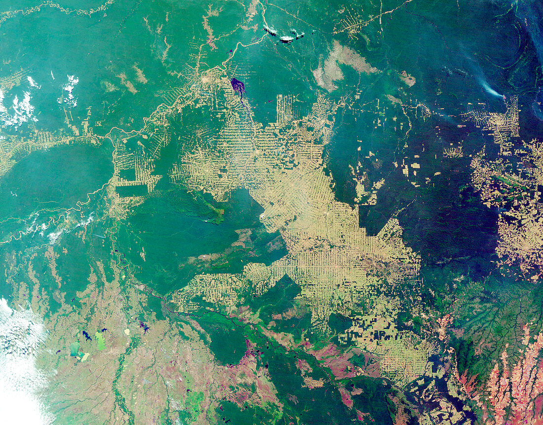 Deforestation in the Amazon,2006