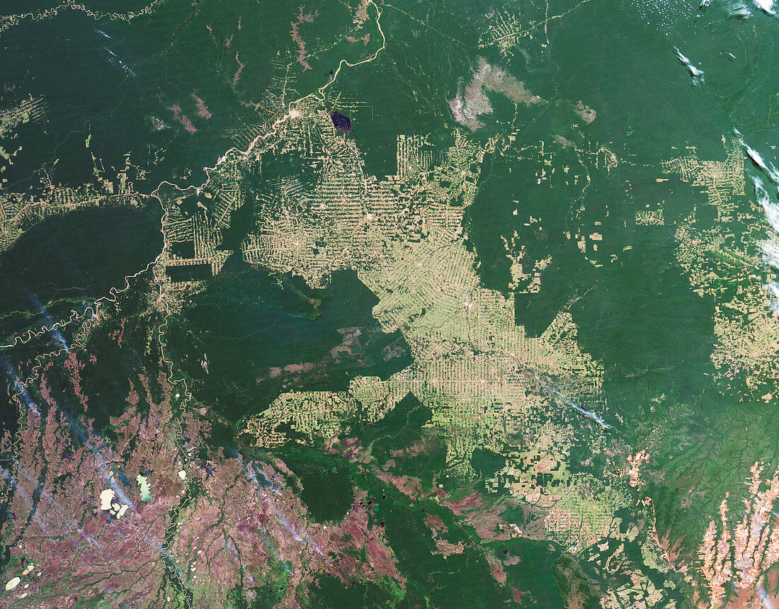 Deforestation in the Amazon,2012