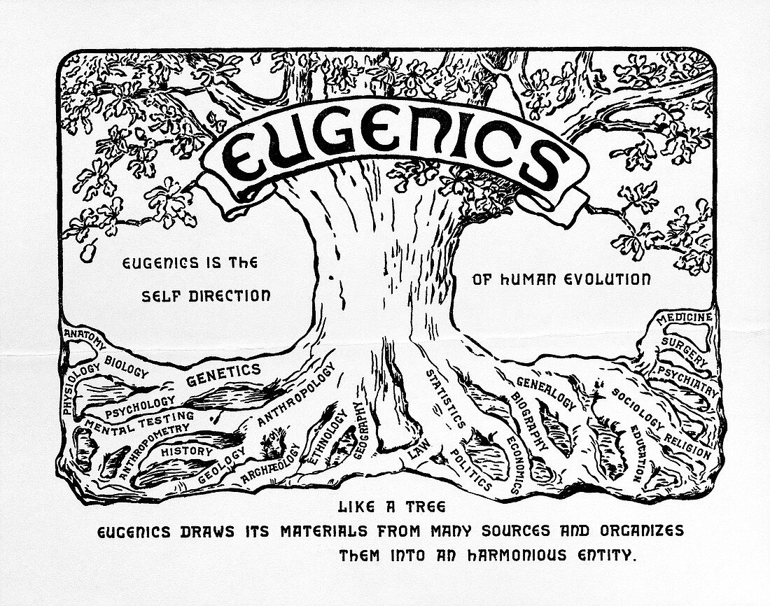 International eugenics logo,1921