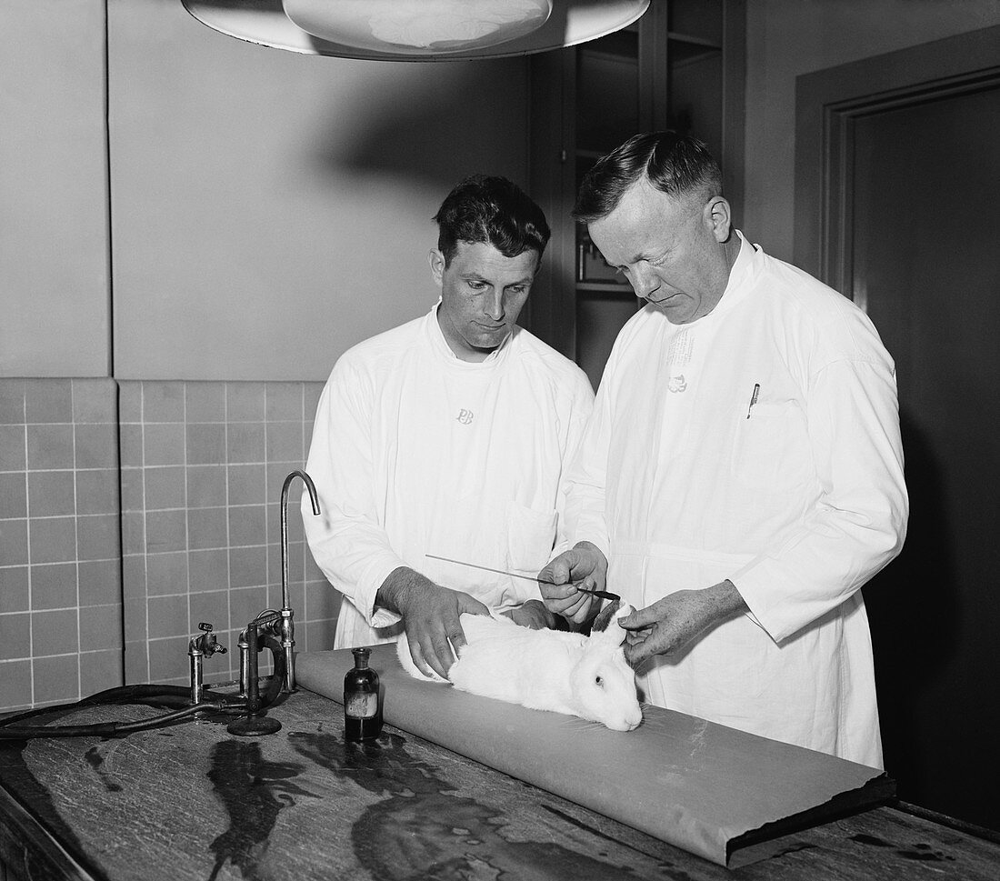 Dr. Charles Armstrong at work,1935