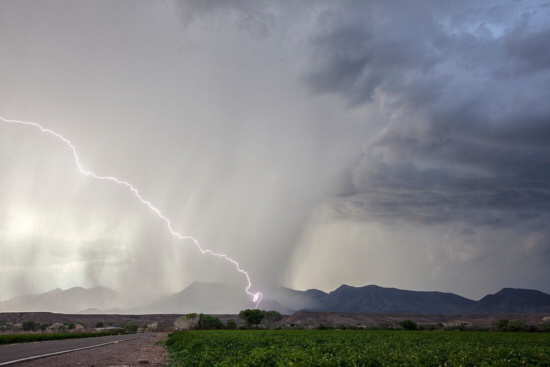 Diagonal lightning strike,Arizona,USA