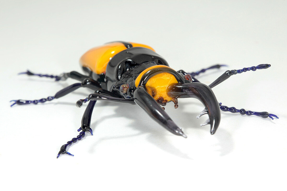 Stag beetle,glass sculpture