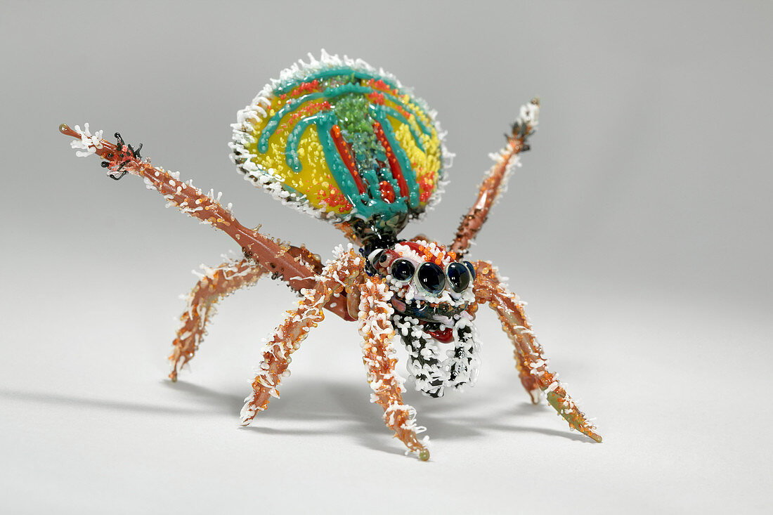 Peacock spider,glass sculpture