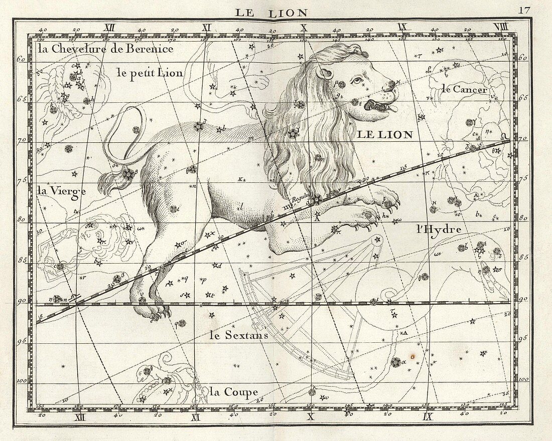 Leo constellation,artwork
