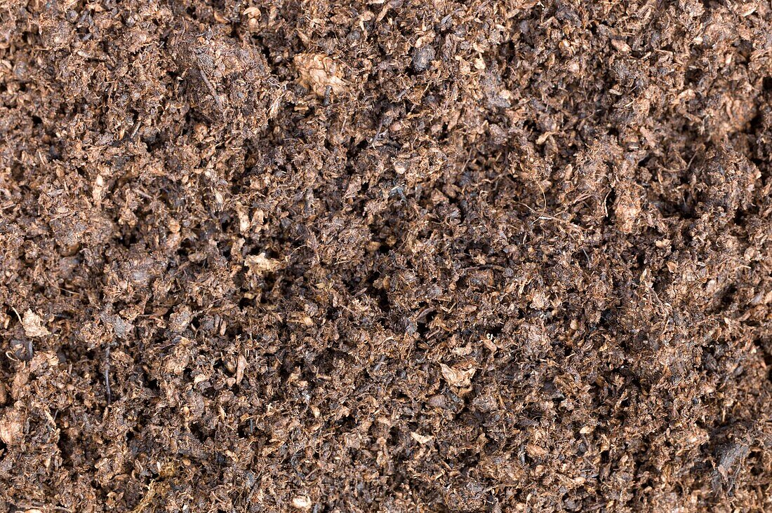 The structure of peat-based compost