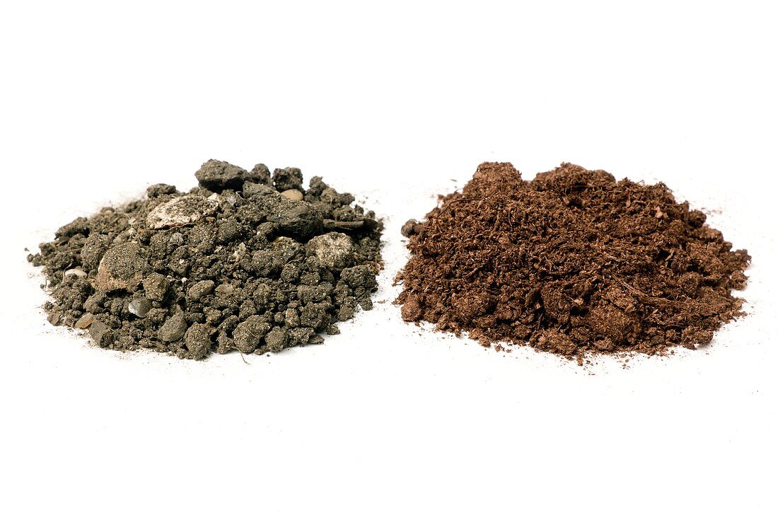 Samples of garden soil and peat
