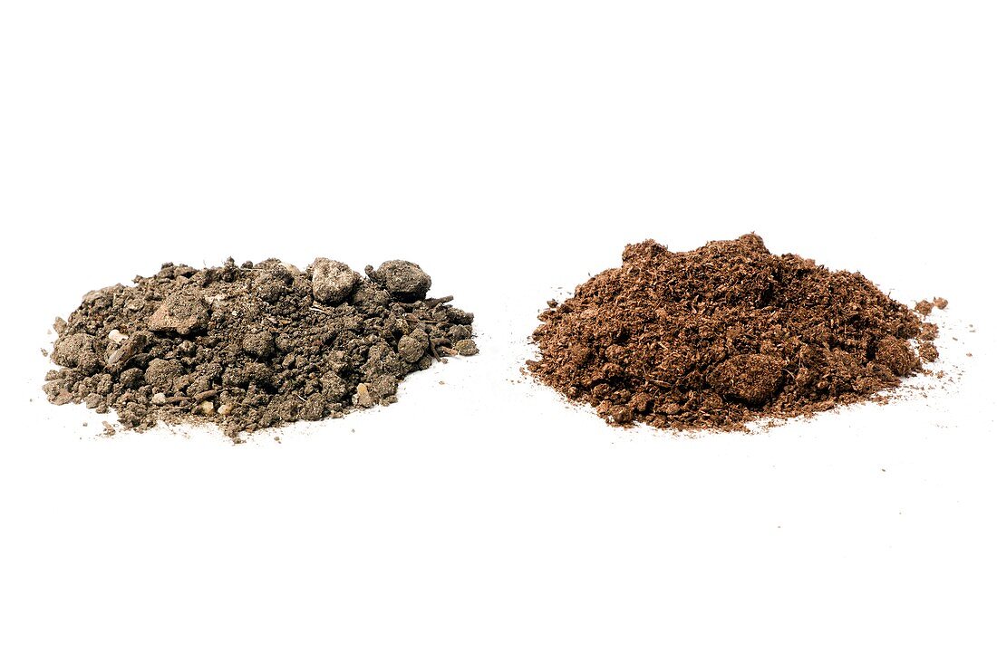 Garden soil and peat-based compost