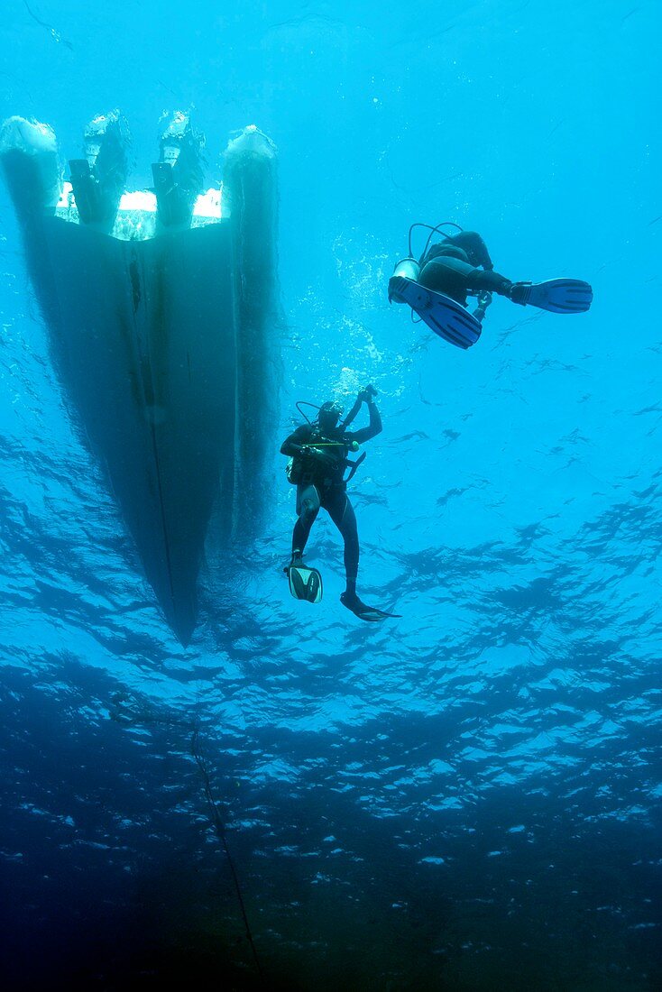 Divers descending from a boat