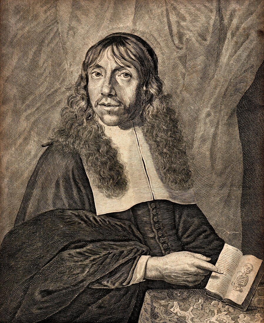 Gerard Blasius,Dutch anatomist