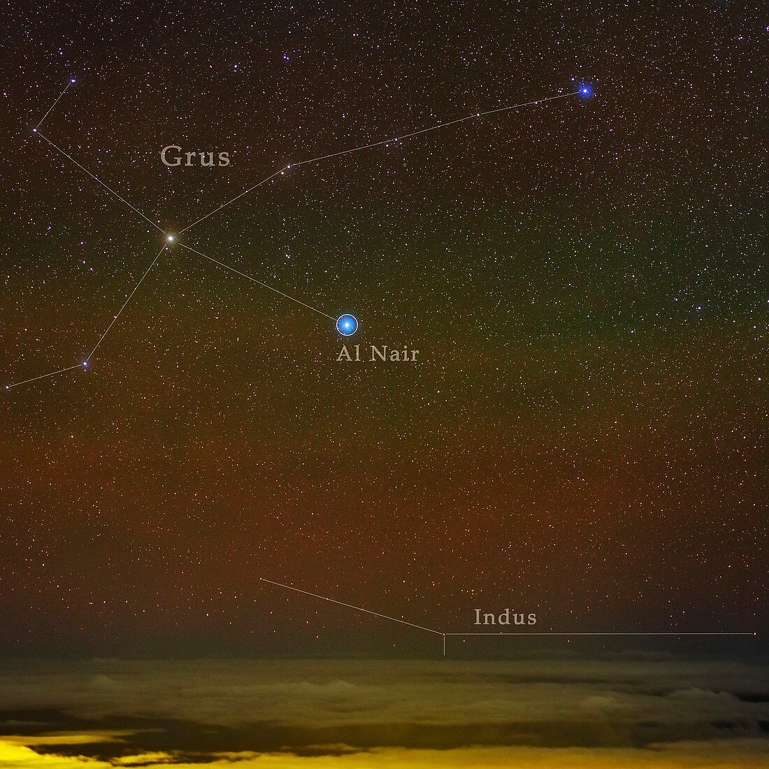 Constellation Grus,the Crane