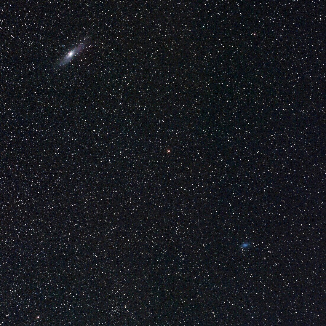 Andromeda and Triangulum galaxies