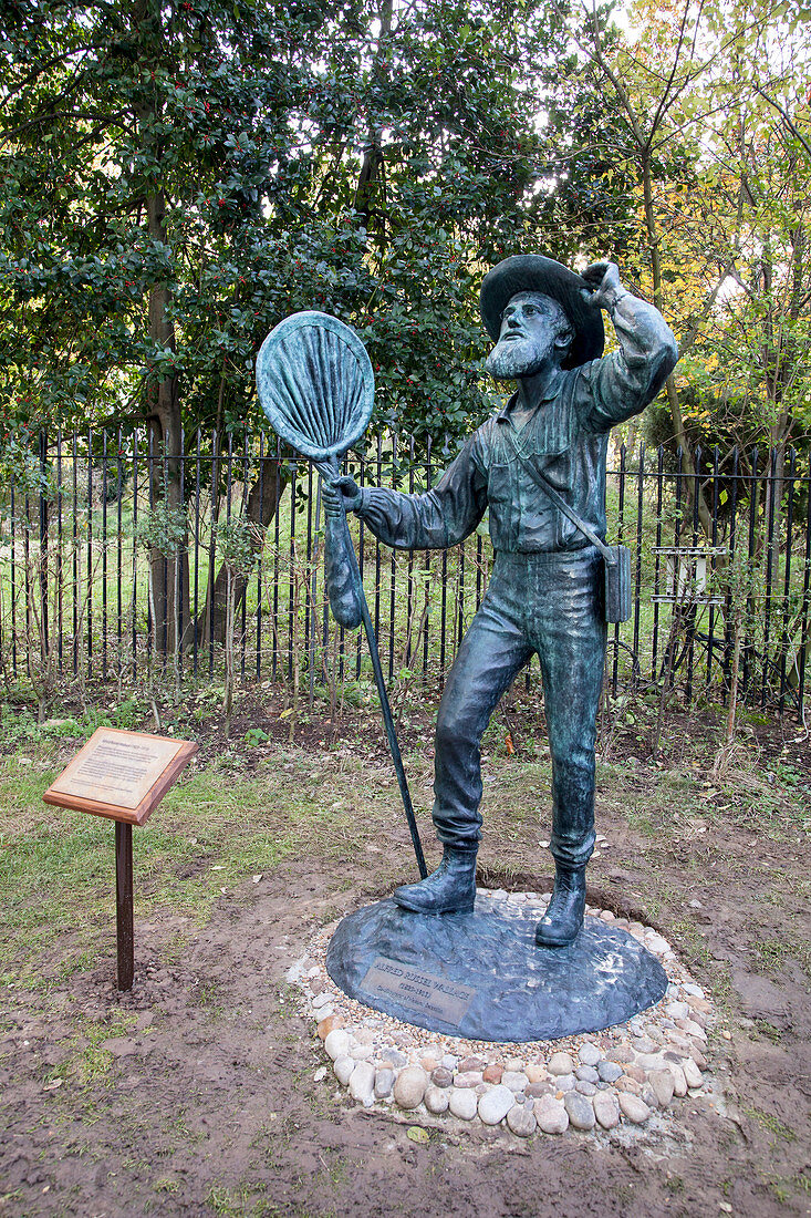 Alfred Russel Wallace statue