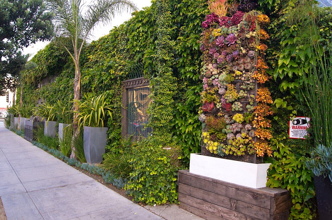Green wall in Los Angeles