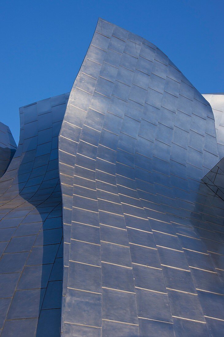 Walt Disney Concert Hall,Los Angeles