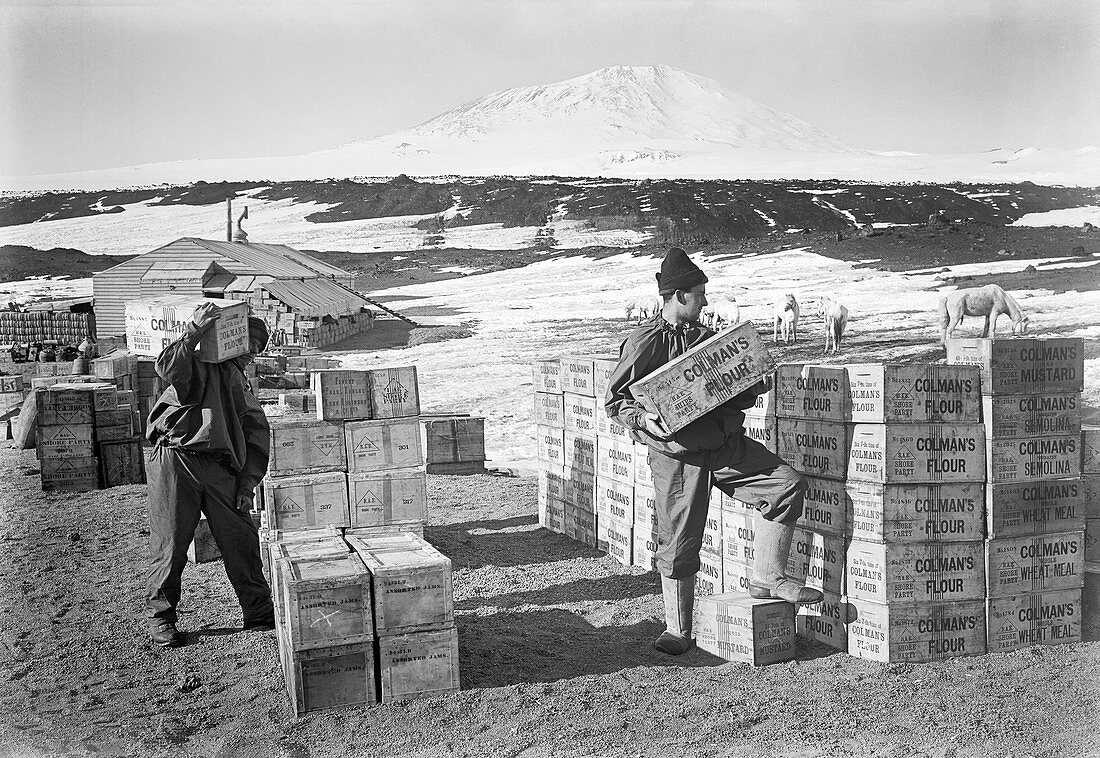 Unloading Antarctic supplies,1911