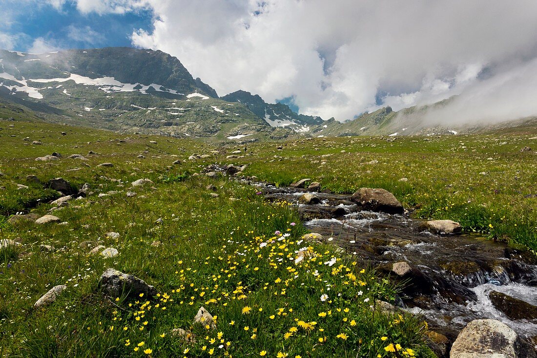 Mountain meadow,Pontic Alps,Turkey