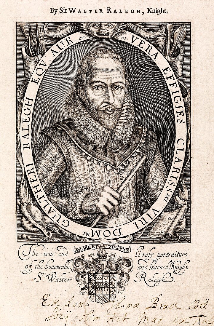 Sir Walter Raleigh,English explorer