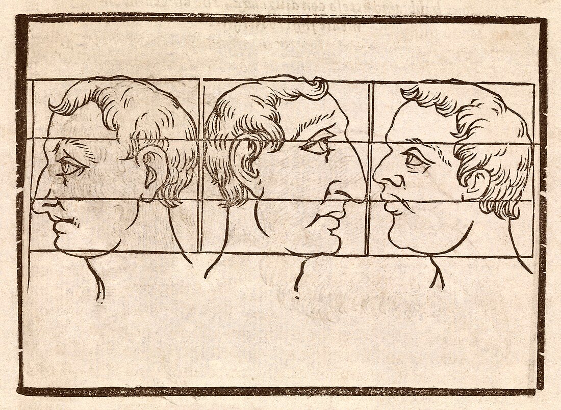Three nose types,17th century