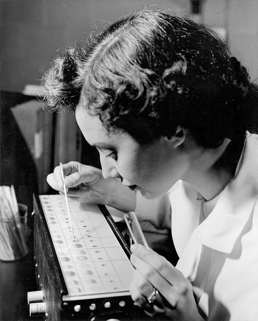 Blood typing,USA,1957