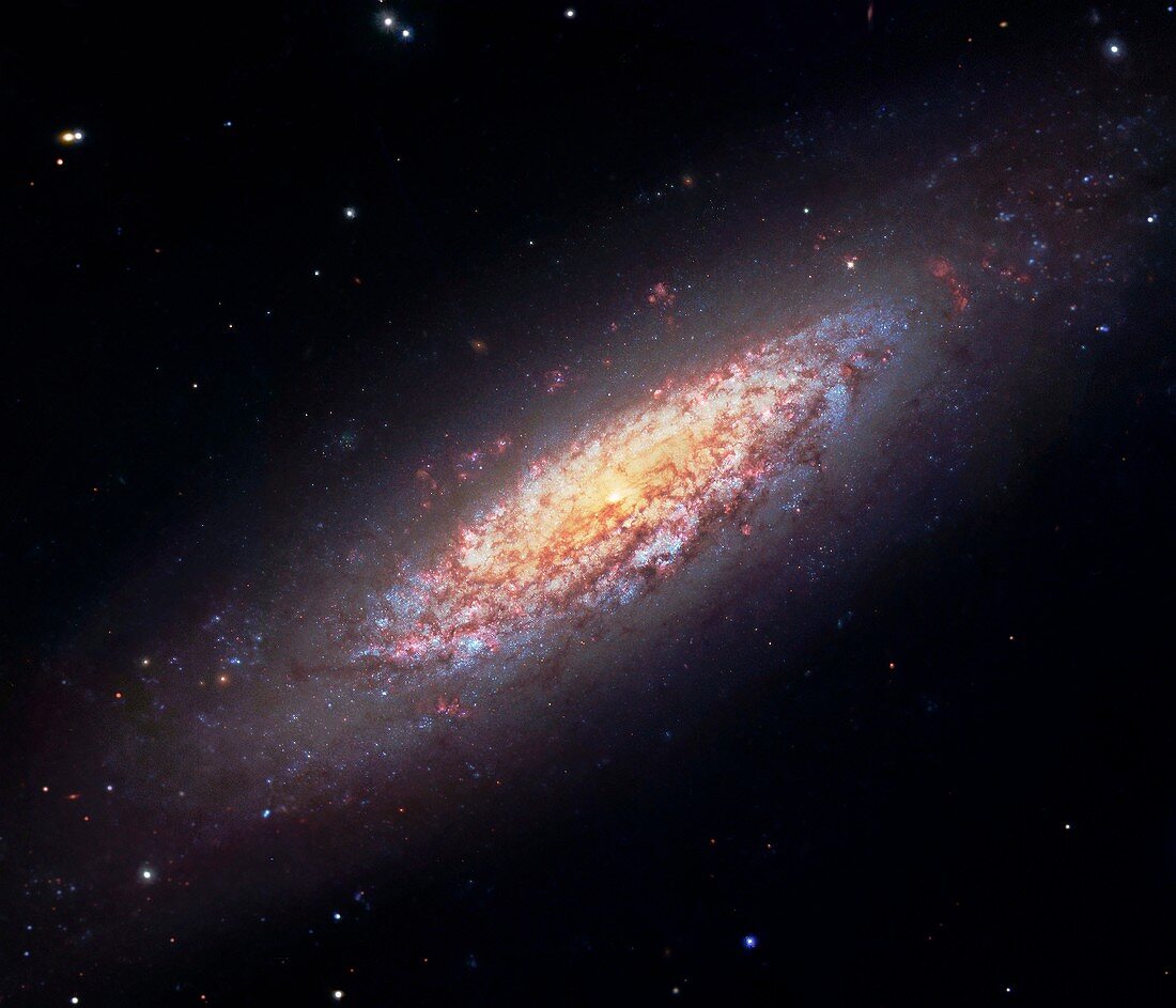 Dwarf spiral galaxy NGC 6503