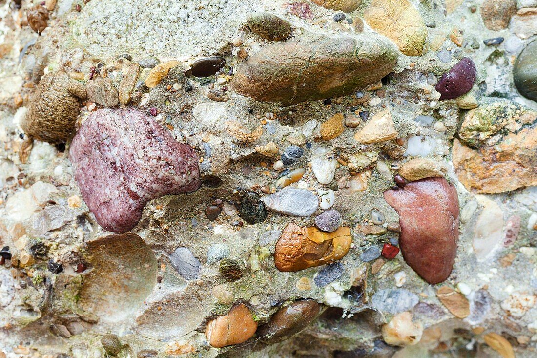 Conglomerate rock