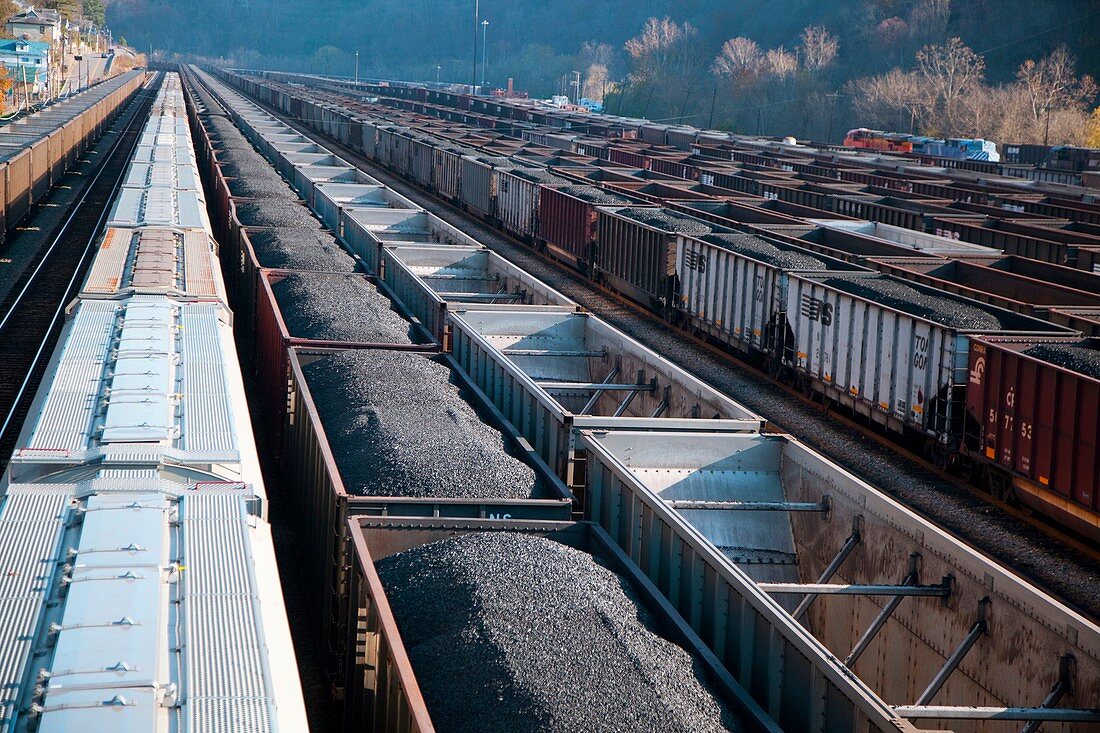 Coal trains in railway yard