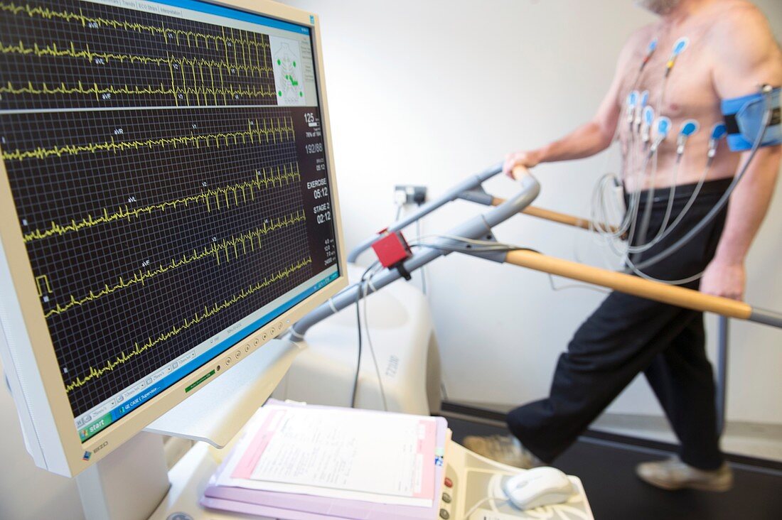 Exercise electrocardiograph