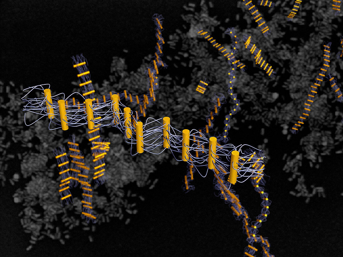 DNA nanorods,artwork
