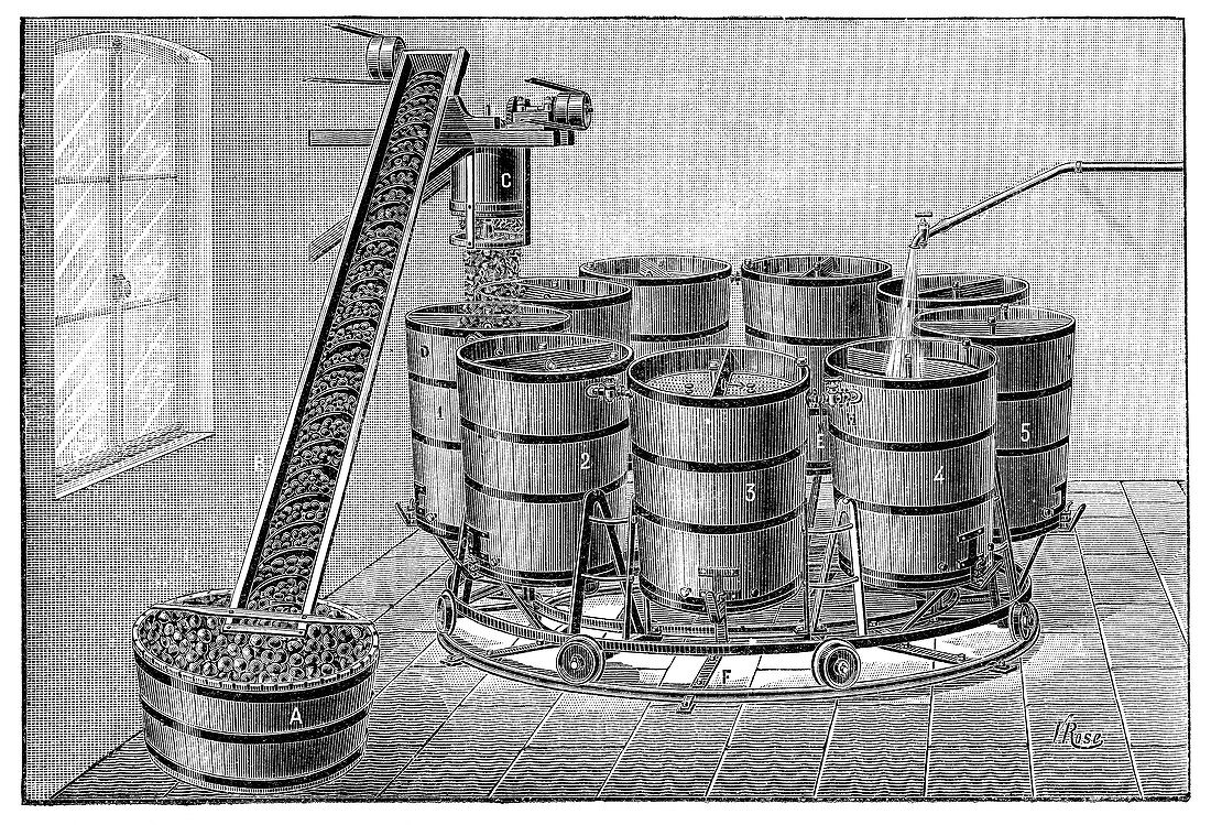 Cider production,19th century
