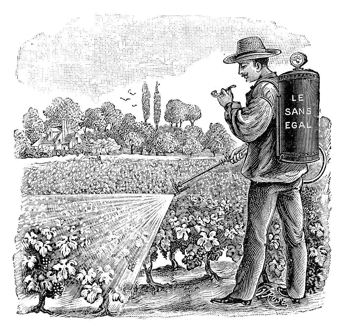 Crop sprayer,19th century