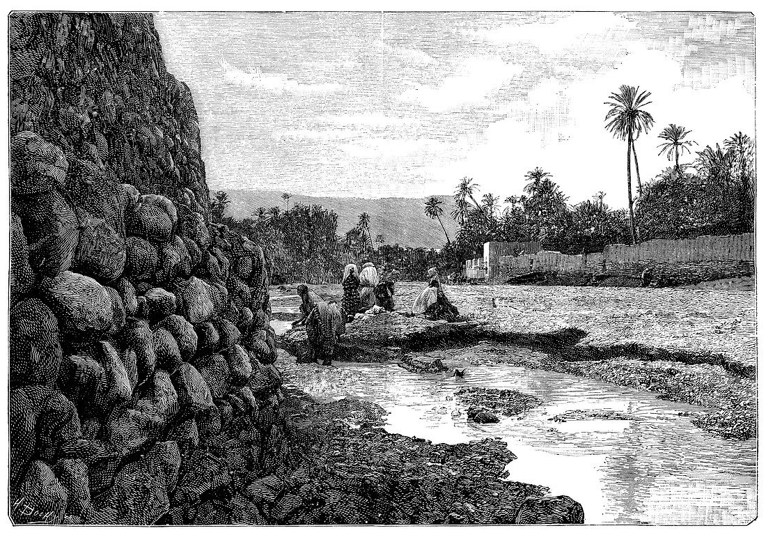 Saharan oasis,19th century