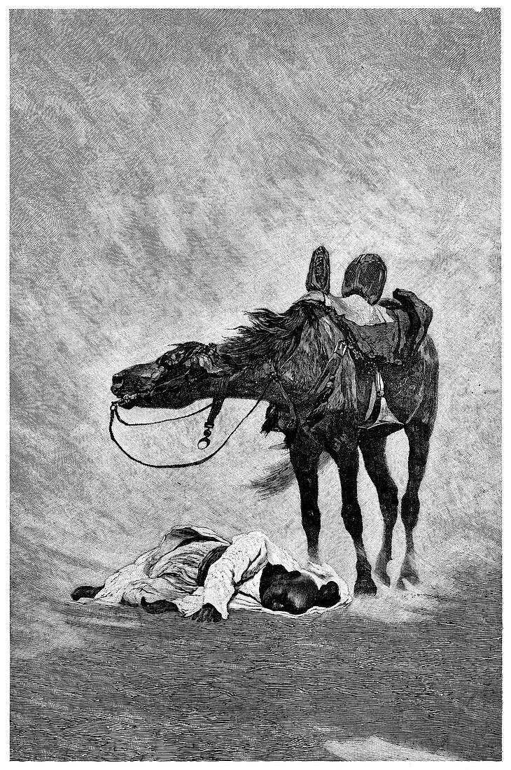 Bedouin and horse in a sandstorm,1898